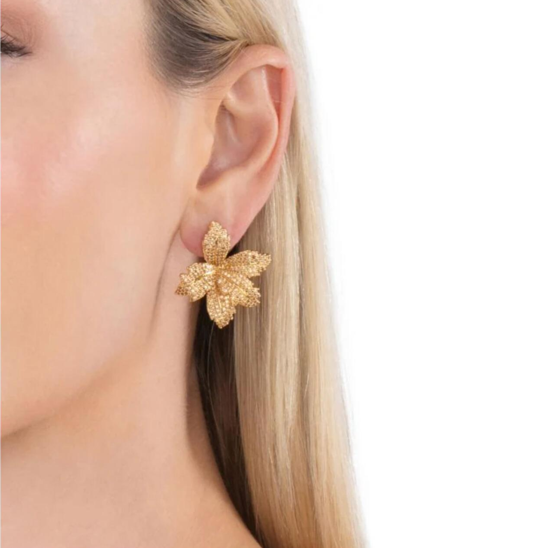 Brinco Pétalas de Flores Zircônia Cúbica